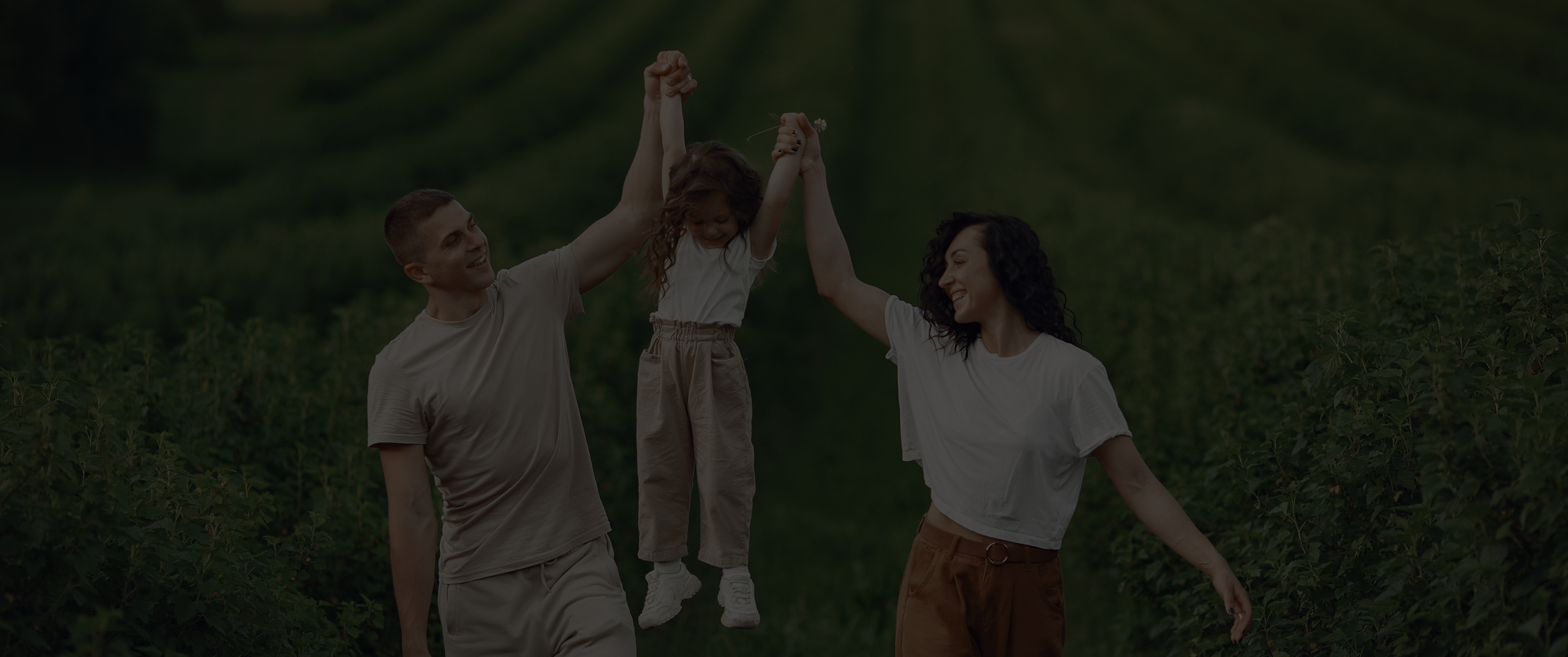 Introdution about company