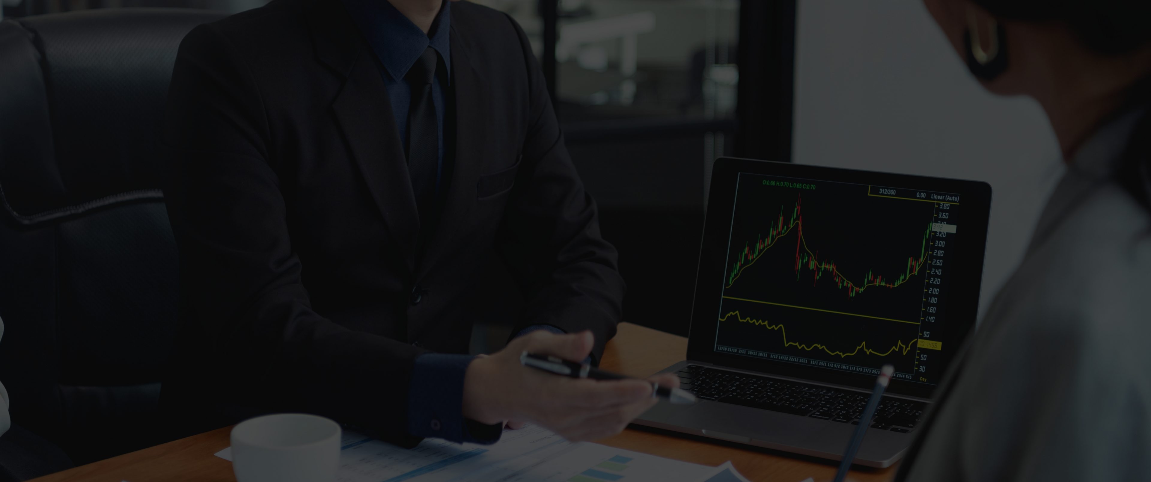 Introdution about company